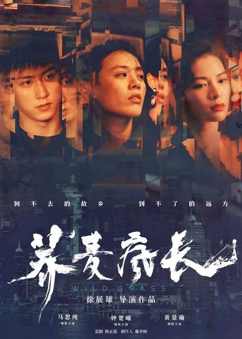 阿韦里诺音乐学院传媒毕业证